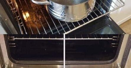How to Clean Your Oven in Minutes and Make It Look Brand New