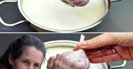Revealing the Powerful Advantages of Garlic Milk