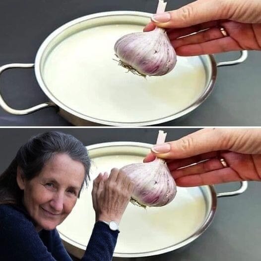 Revealing the Powerful Advantages of Garlic Milk