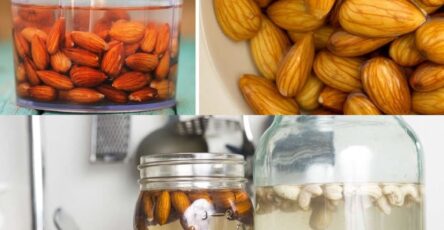 The Benefits of Activating Nuts and Seeds and a Simple Guide on How to Do It