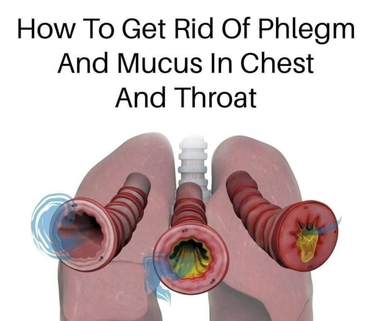 How to Naturally Clear Phlegm and Mucus from the Chest and Throat 🌿💨 ...